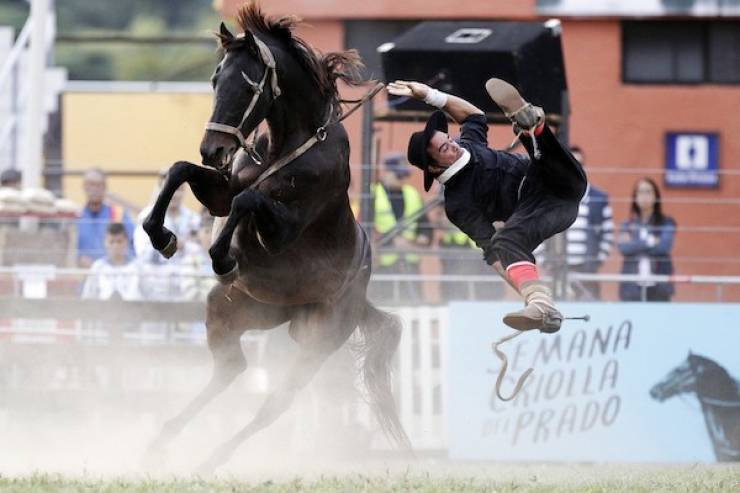 daily picdump 43 pics 1.html - 43 HD Photos | Premium Gallery 2026