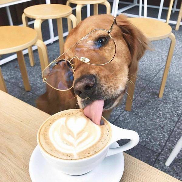 daily picdump 43 pics 1.html - 43 HD Photos | Premium Gallery 2026