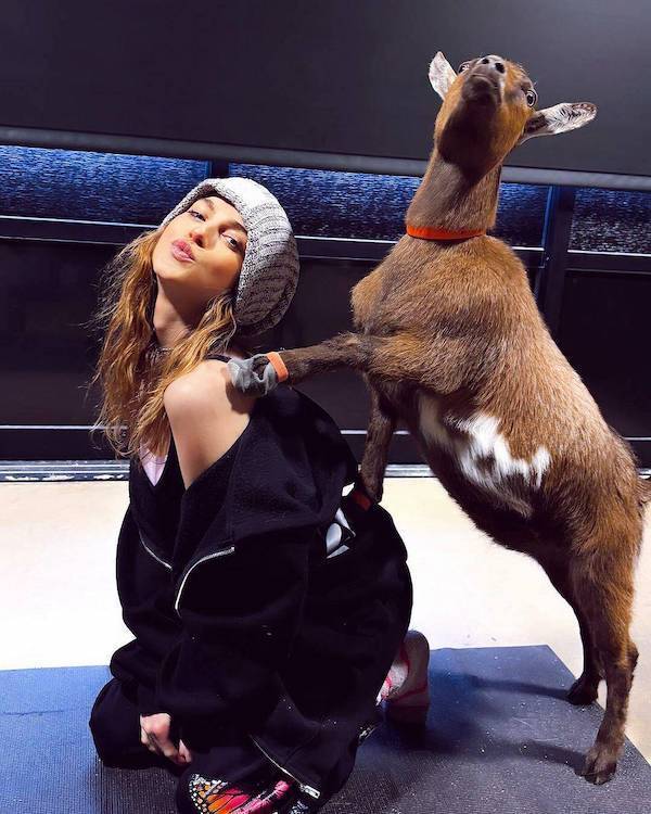 daily picdump 43 pics 1.html - 43 HD Photos | Premium Gallery 2026