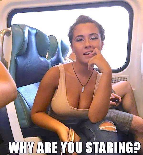 daily picdump 43 pics 1.html - 43 HD Photos | Premium Gallery 2026
