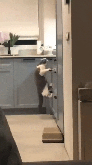 daily gifdump 47 gifs 1.html - 1 HD GIF | Premium Gallery 2026