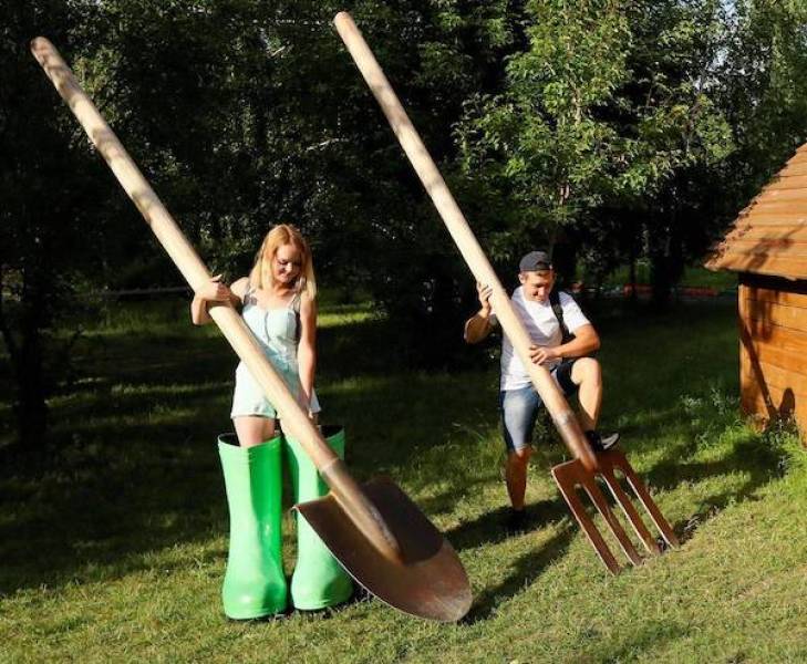 Daily Picdump