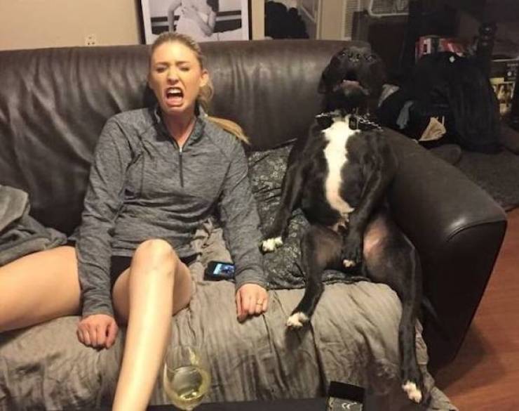 Daily Picdump