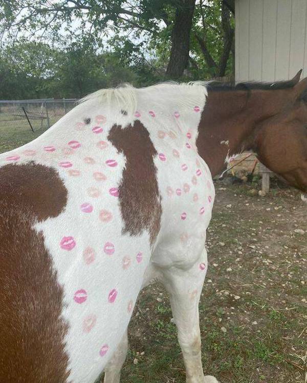Daily Picdump