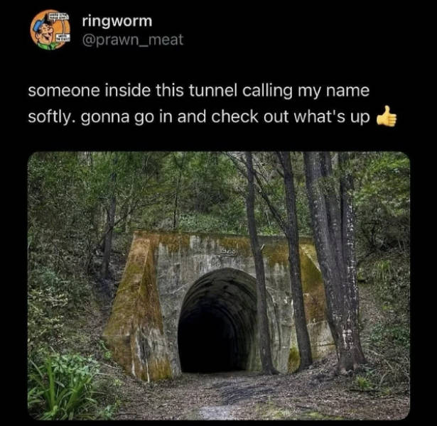 Prescribed Daily Dose of Dank Memes