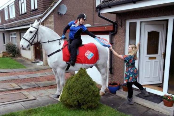 daily picdump 41 pics 8.html - 41 HD Photos | Premium Gallery 2026