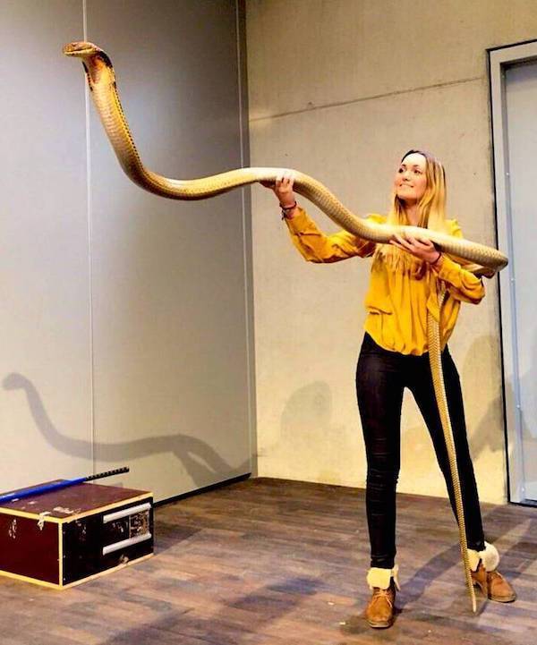 daily picdump 47 pics 11.html - 47 HD Photos | Premium Gallery 2026