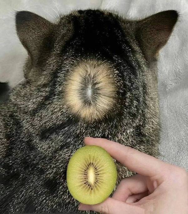 daily picdump 47 pics 11.html - 47 HD Photos | Premium Gallery 2026
