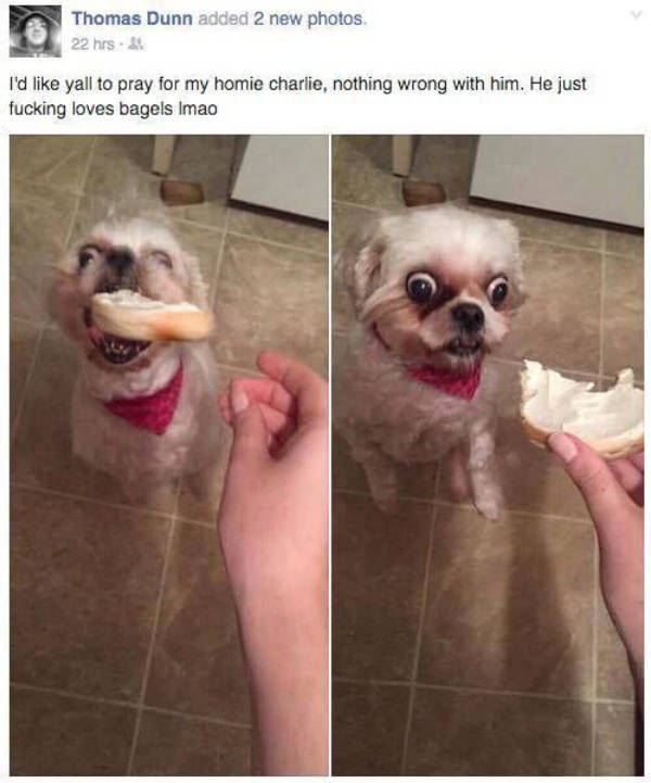 prescribed daily dose of dank memes 34 pics 3.html - 34 HD Photos | Premium Gallery 2026
