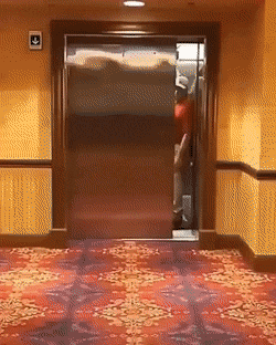 daily gifdump 54 gifs 5.html - 1 HD GIF | Premium Gallery 2026