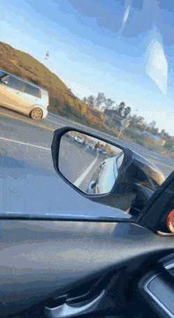 daily gifdump 54 gifs 5.html - 1 HD GIF | Premium Gallery 2026