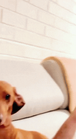 daily gifdump 54 gifs 5.html - 1 HD GIF | Premium Gallery 2026