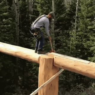 daily gifdump 54 gifs 5.html - 1 HD GIF | Premium Gallery 2026