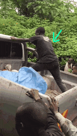daily gifdump 54 gifs 5.html - 1 HD GIF | Premium Gallery 2026