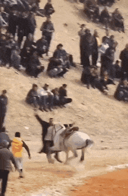 daily gifdump 54 gifs 5.html - 1 HD GIF | Premium Gallery 2026