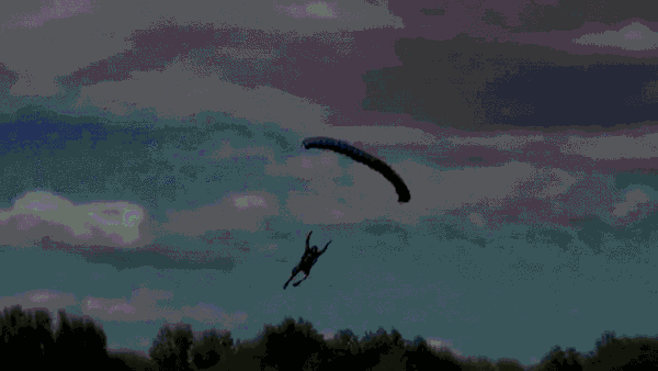 daily gifdump 54 gifs 5.html - 1 HD GIF | Premium Gallery 2026