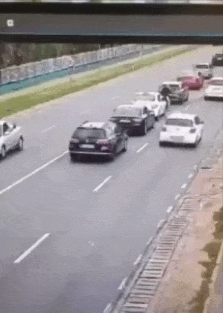 daily gifdump 54 gifs 5.html - 1 HD GIF | Premium Gallery 2026