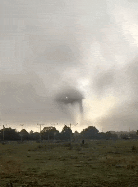 daily gifdump 54 gifs 5.html - 1 HD GIF | Premium Gallery 2026