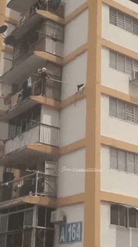 daily gifdump 54 gifs 5.html - 1 HD GIF | Premium Gallery 2026