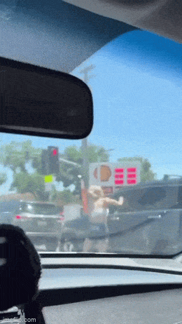 daily gifdump 54 gifs 5.html - 1 HD GIF | Premium Gallery 2026
