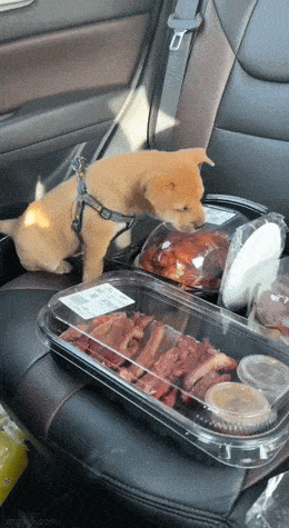 daily gifdump 54 gifs 5.html - 1 HD GIF | Premium Gallery 2026