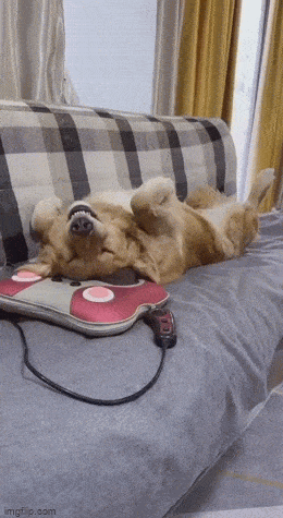 daily gifdump 54 gifs 5.html - 1 HD GIF | Premium Gallery 2026