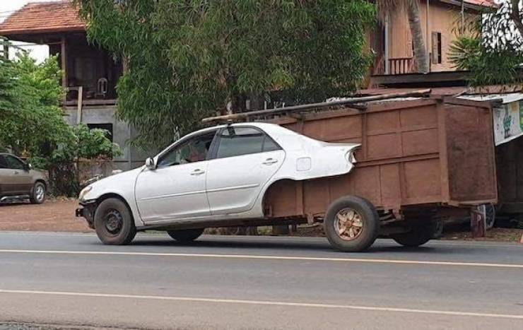 daily picdump 39 pics 1.html - 39 HD Photos | Premium Gallery 2026