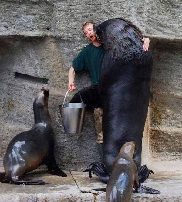 daily picdump 39 pics 1.html - 39 HD Photos | Premium Gallery 2026