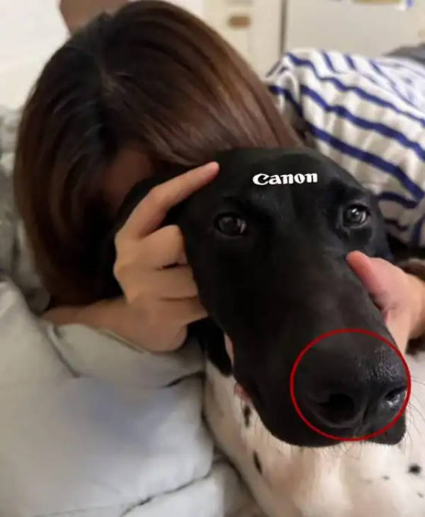 daily picdump 39 pics 1.html - 39 HD Photos | Premium Gallery 2026