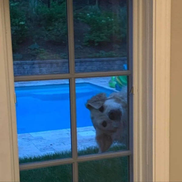 daily picdump 39 pics 1.html - 39 HD Photos | Premium Gallery 2026