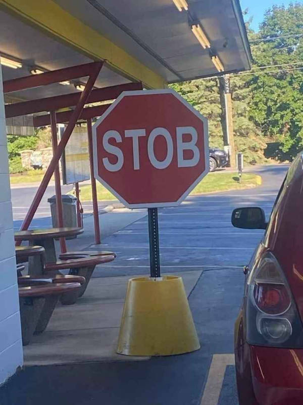 daily picdump 39 pics 1.html - 39 HD Photos | Premium Gallery 2026