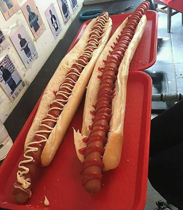 daily picdump 39 pics 1.html - 39 HD Photos | Premium Gallery 2026