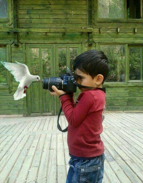 daily picdump 39 pics 1.html - 39 HD Photos | Premium Gallery 2026