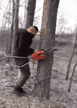 daily gifdump 48 gifs 4.html - 1 HD GIF | Premium Gallery 2026