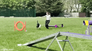 daily gifdump 48 gifs 4.html - 1 HD GIF | Premium Gallery 2026