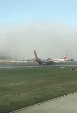 daily gifdump 48 gifs 4.html - 1 HD GIF | Premium Gallery 2026