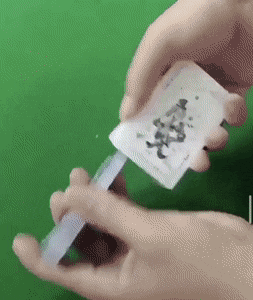 daily gifdump 48 gifs 4.html - 1 HD GIF | Premium Gallery 2026