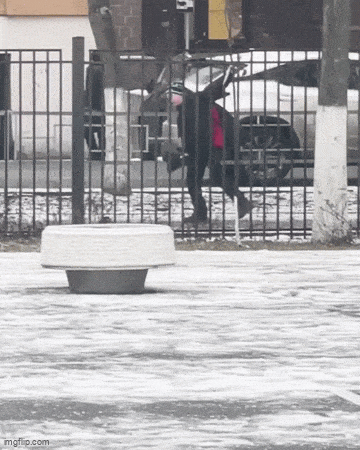 daily gifdump 48 gifs 4.html - 1 HD GIF | Premium Gallery 2026