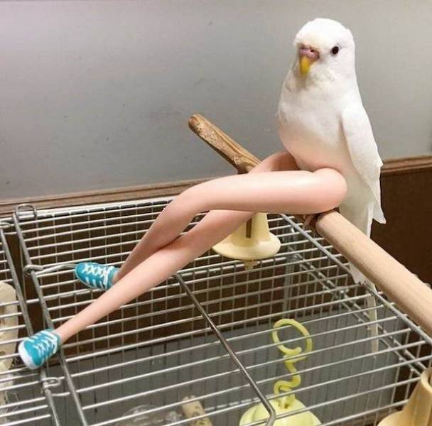 daily picdump 45 pics 1.html - 45 HD Photos | Premium Gallery 2026