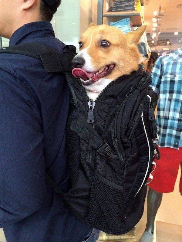 daily picdump 45 pics 1.html - 45 HD Photos | Premium Gallery 2026