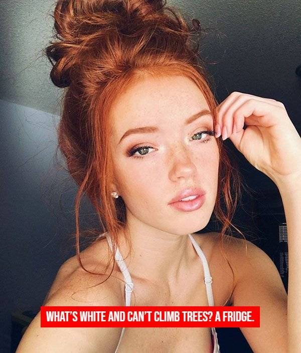 girls give us your best jokes 38 pics 1.html - 38 HD Photos | Premium Gallery 2026