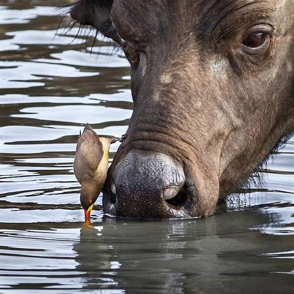 daily picdump 41 pics 1.html - 41 HD Photos | Premium Gallery 2026