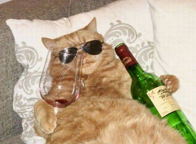 Daily Picdump [WEEKEND EDITION]