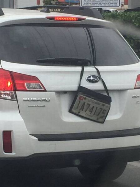 daily picdump weekend edition 74 pics 17.html - 74 HD Photos | Premium Gallery 2017