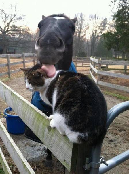 Daily Picdump