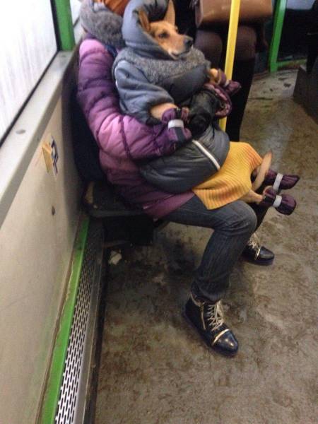 Daily Picdump