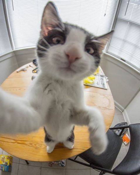 daily picdump 94 pics 11.html - 94 HD Photos | Premium Gallery 2017