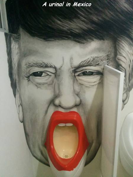 daily picdump 94 pics 11.html - 94 HD Photos | Premium Gallery 2017