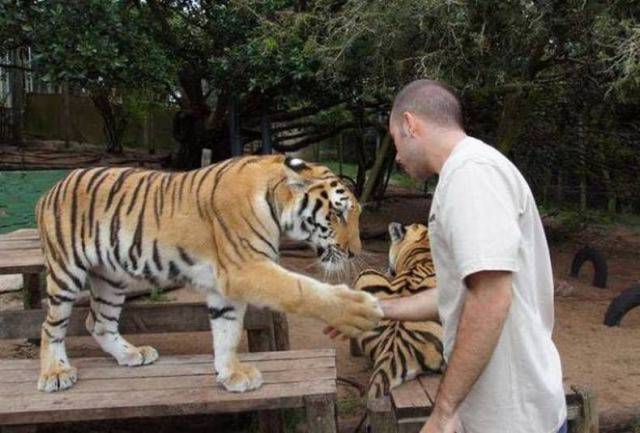 daily picdump 97 pics 11.html - 97 HD Photos | Premium Gallery 2017