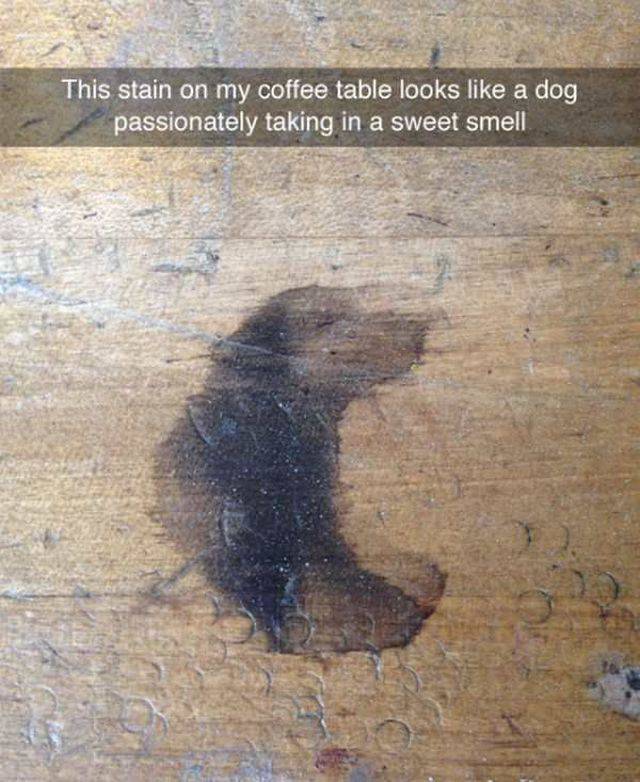 Daily Picdump